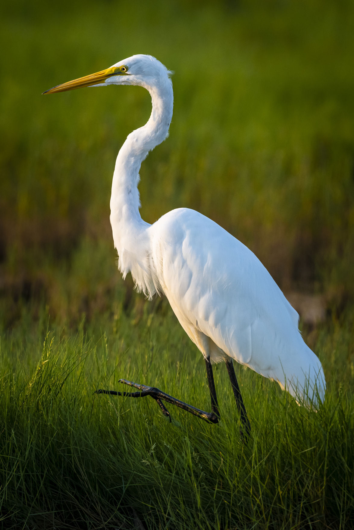 Tom White photography